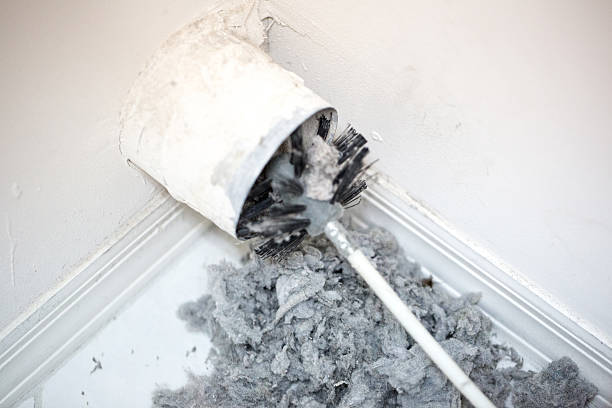 Best Air Vent Cleaning Services  in Hoer, OK