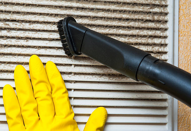 Best Dryer Vent Cleaning Services  in Hoer, OK